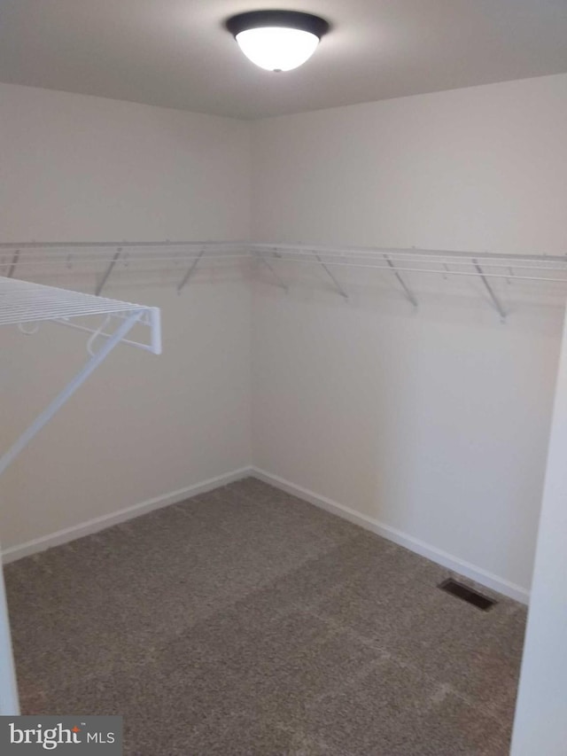 spacious closet with carpet