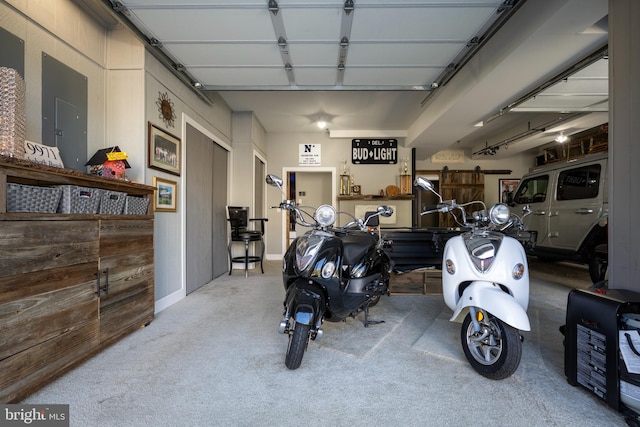 garage with electric panel