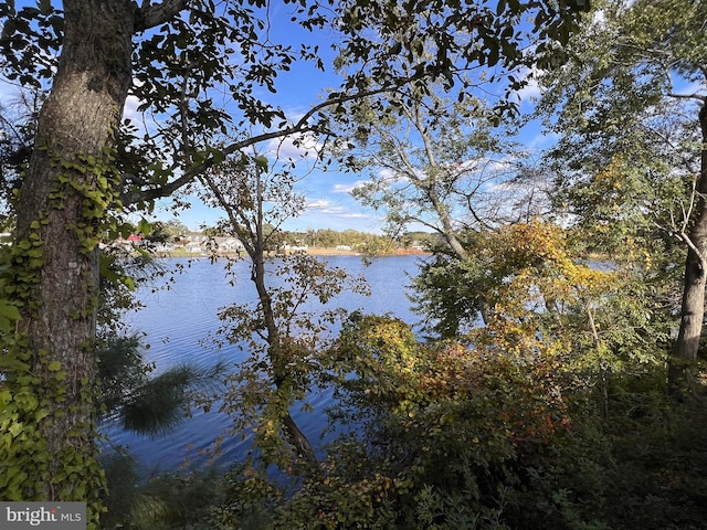 property view of water