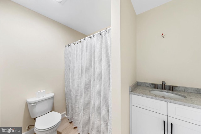 bathroom featuring toilet, hardwood / wood-style floors, curtained shower, and vanity