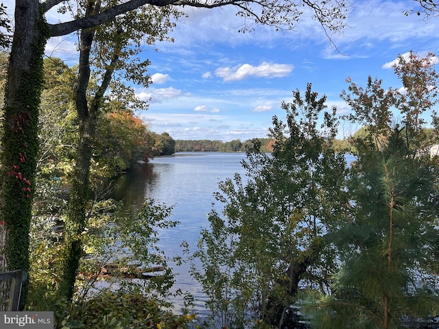 property view of water