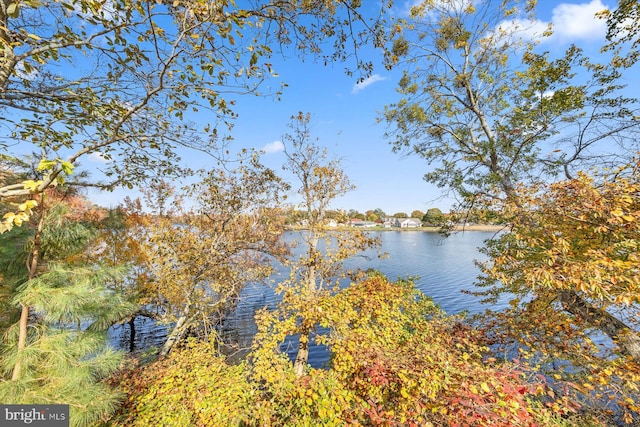 property view of water