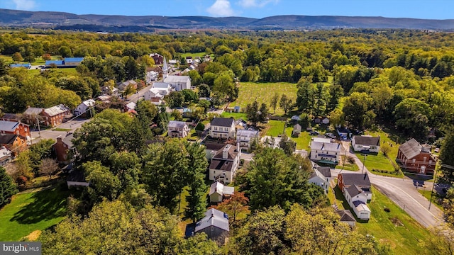 birds eye view of property featuring a mountain view