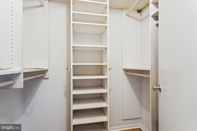 view of spacious closet