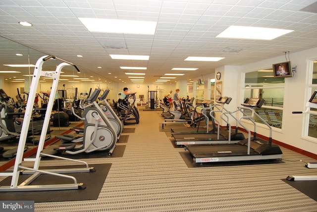 gym featuring a drop ceiling and carpet floors