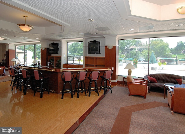 interior space featuring a tray ceiling, plenty of natural light, and light hardwood / wood-style floors