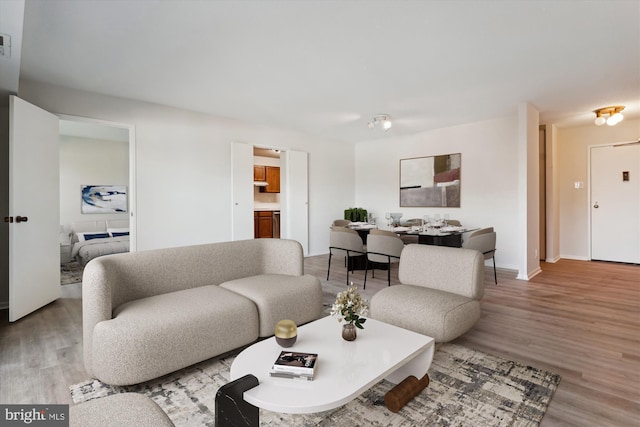 living room with light wood-type flooring