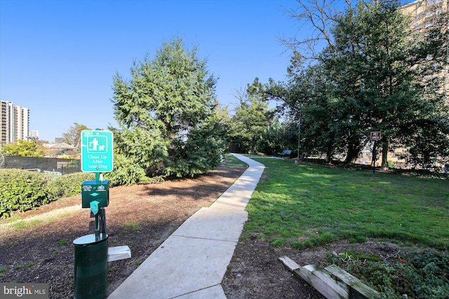 view of community with a yard