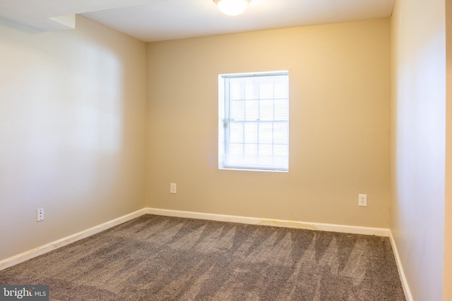 unfurnished room featuring carpet flooring