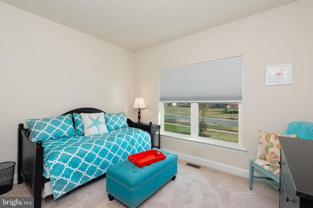 bedroom with carpet floors