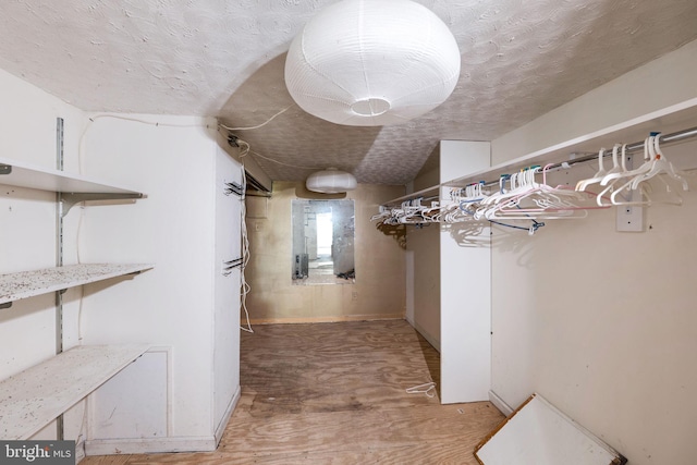 spacious closet featuring wood-type flooring