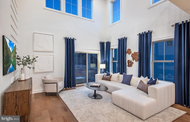 living room with a high ceiling and hardwood / wood-style floors