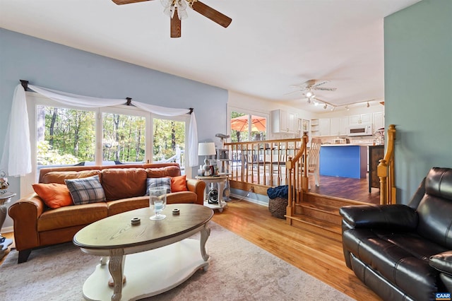 living room with ceiling fan, light wood-type flooring, and track lighting