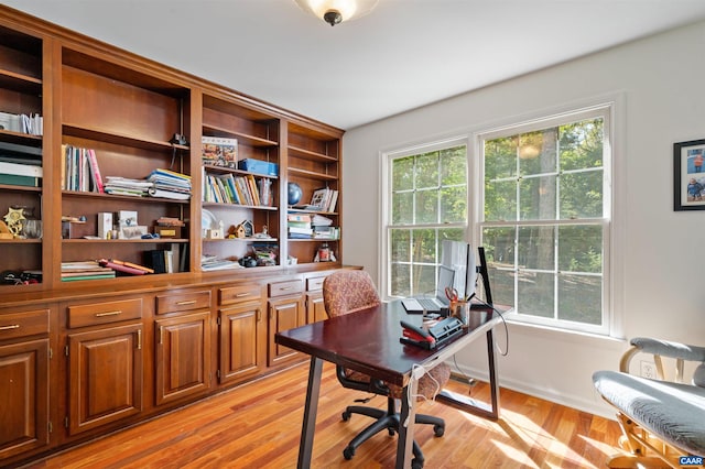 home office featuring light hardwood / wood-style floors