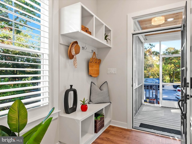 mudroom with hardwood / wood-style floors