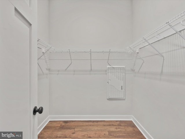 spacious closet featuring wood-type flooring