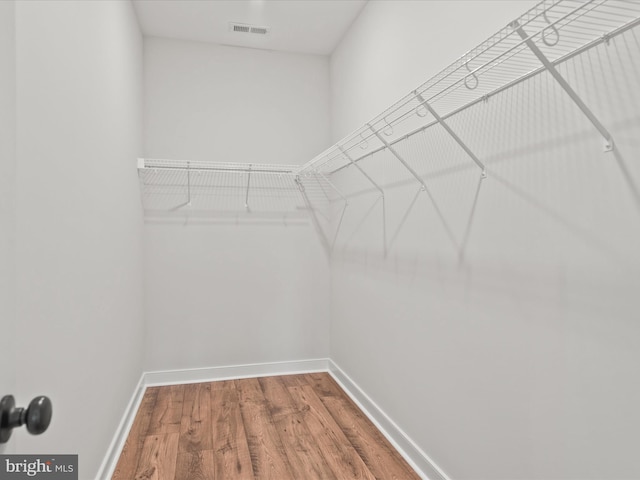 spacious closet with wood-type flooring