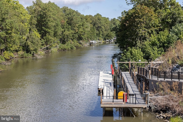 dock area with a water view