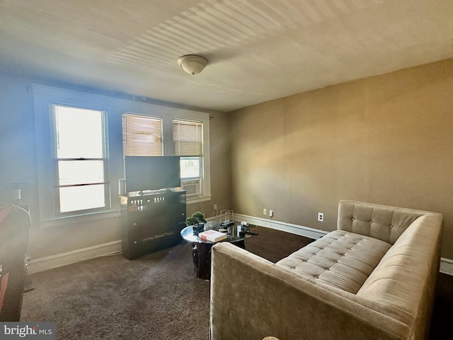 sitting room with carpet floors