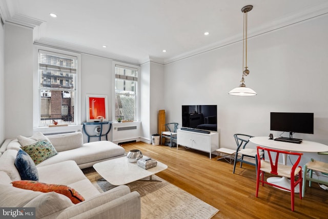 living room with crown molding and wood-type flooring