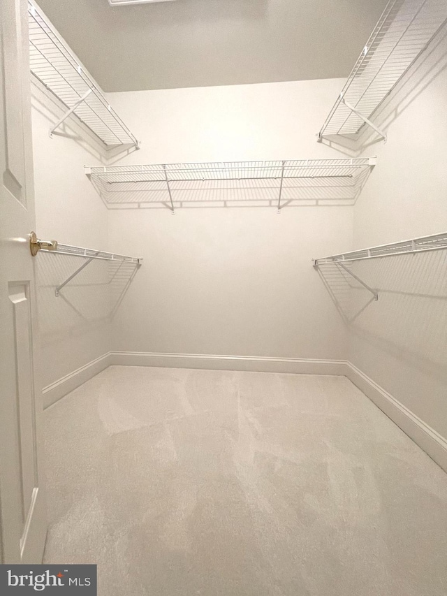 spacious closet with carpet floors