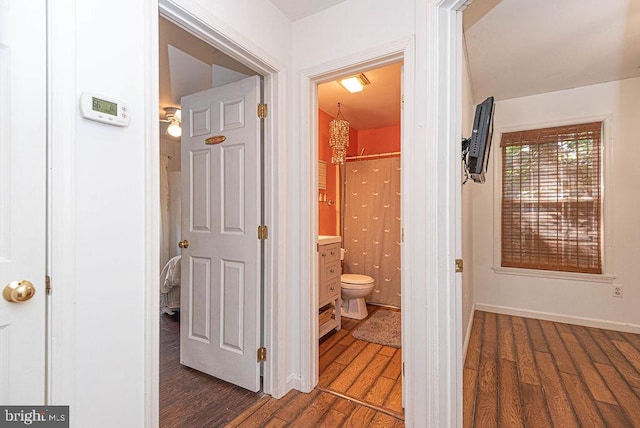 hallway featuring dark hardwood / wood-style flooring