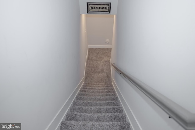 staircase featuring carpet floors