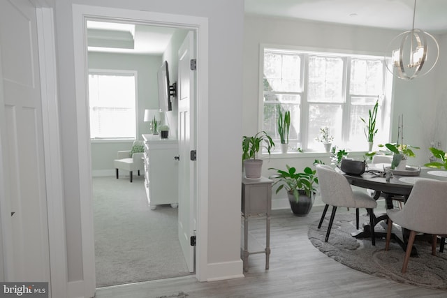 dining room with light wood-type flooring, a chandelier, and a wealth of natural light