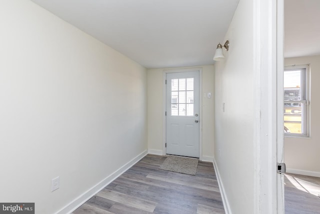 doorway featuring a healthy amount of sunlight and light hardwood / wood-style floors