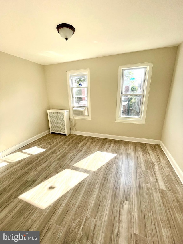 empty room featuring light wood-type flooring