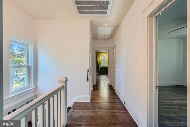 corridor with dark wood-type flooring