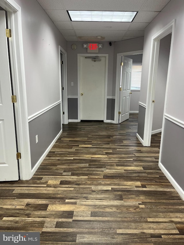 corridor featuring a paneled ceiling and dark hardwood / wood-style flooring