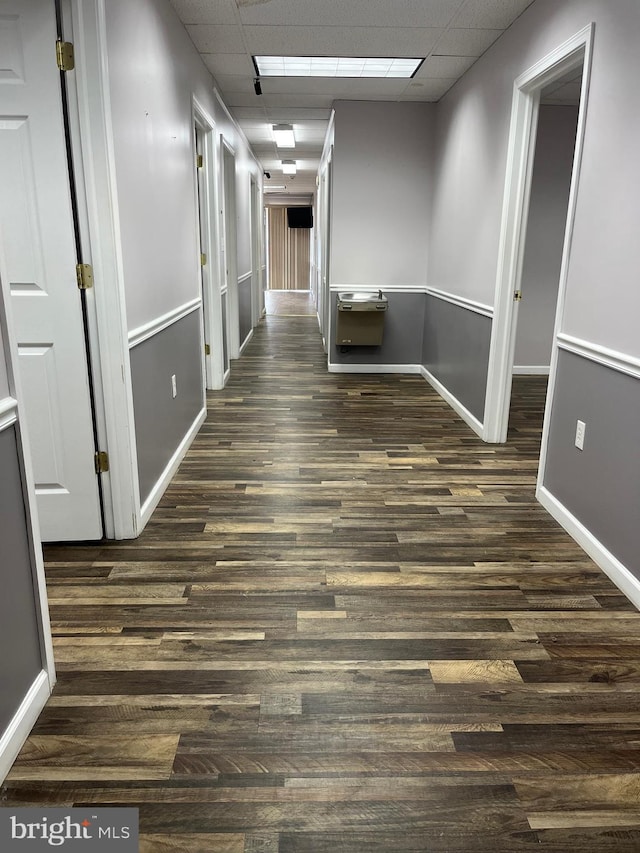 hall featuring a drop ceiling and dark wood-type flooring