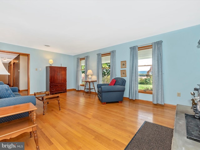 living room with light hardwood / wood-style flooring