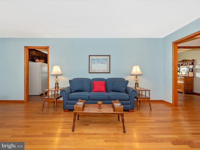 living room with light wood-type flooring