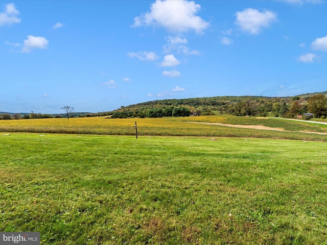 view of yard with a rural view