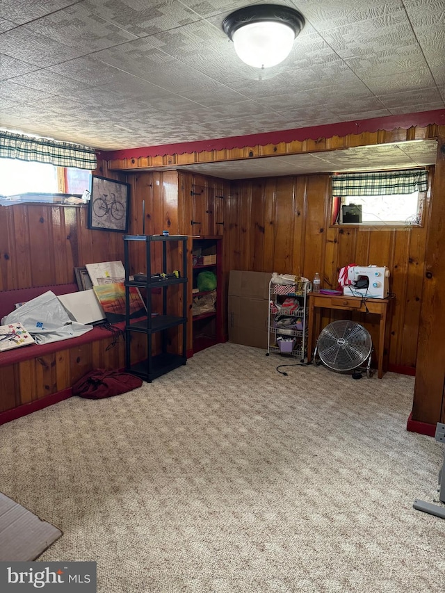 interior space featuring carpet floors and wooden walls