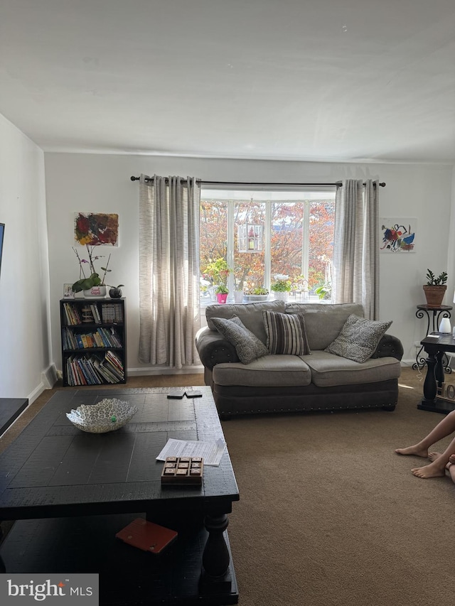 living room with dark colored carpet