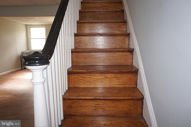 stairway with hardwood / wood-style flooring