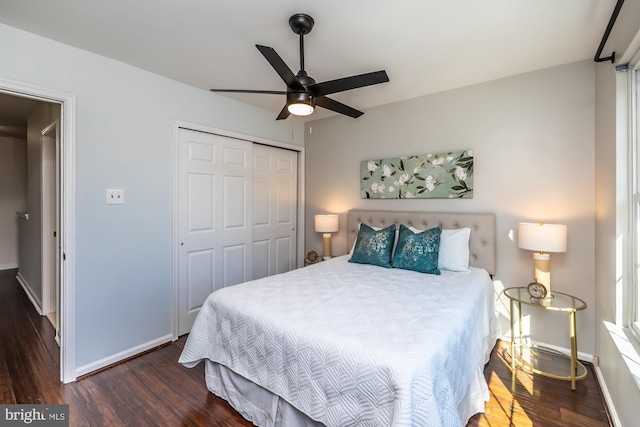 bedroom with dark hardwood / wood-style flooring, a closet, and ceiling fan