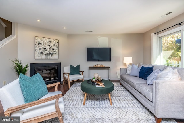 living room featuring wood-type flooring