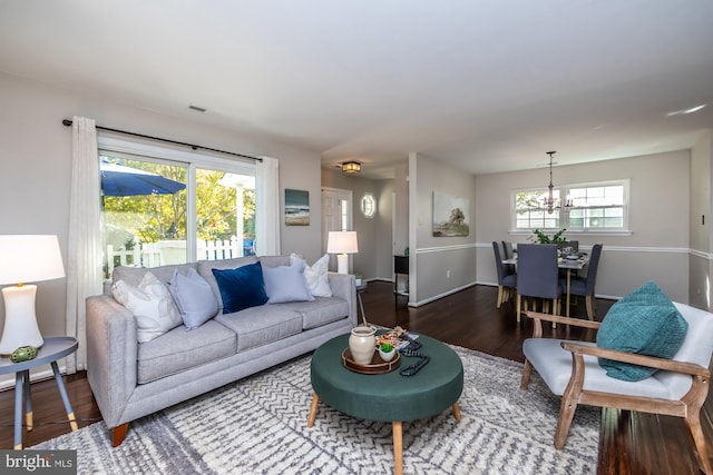 living room with an inviting chandelier, wood-type flooring, and plenty of natural light