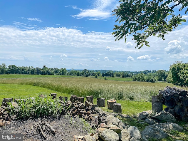 view of yard featuring a rural view