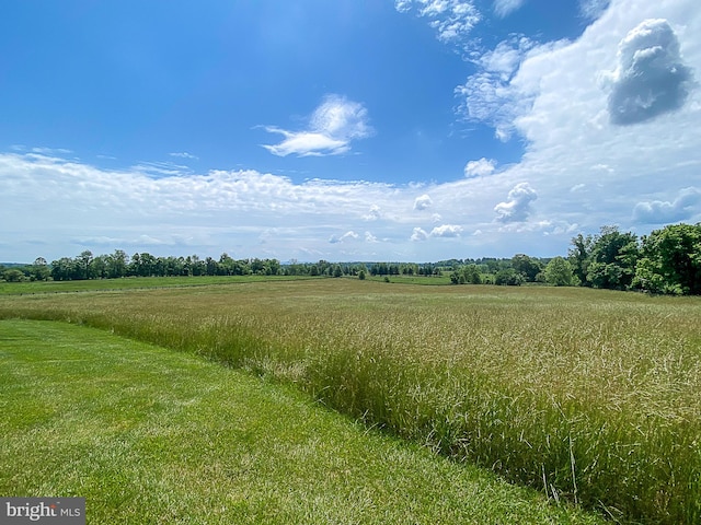 view of nature with a rural view