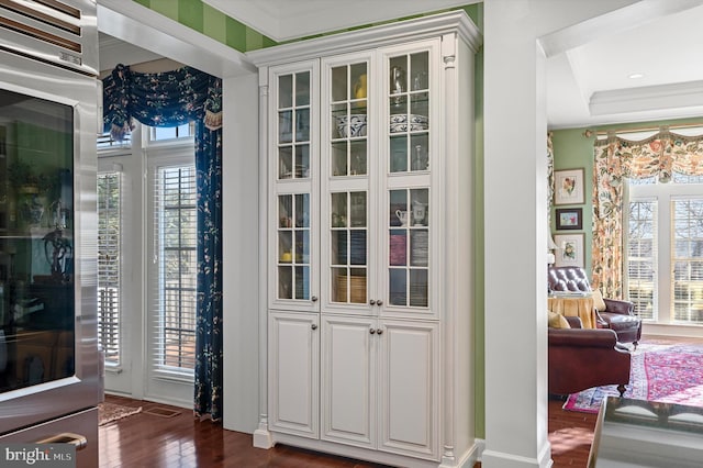doorway featuring dark wood-style floors and plenty of natural light