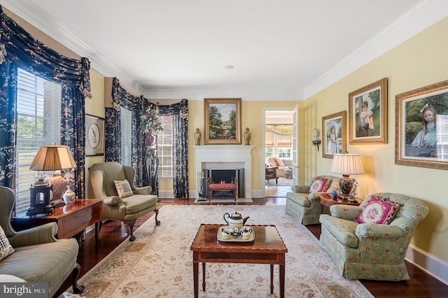 living room with crown molding and wood-type flooring