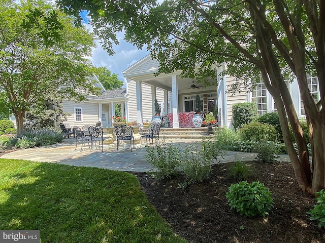 rear view of house featuring a yard, a patio, and ceiling fan