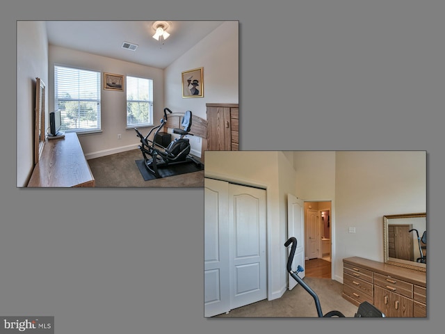 interior space featuring a closet and vaulted ceiling