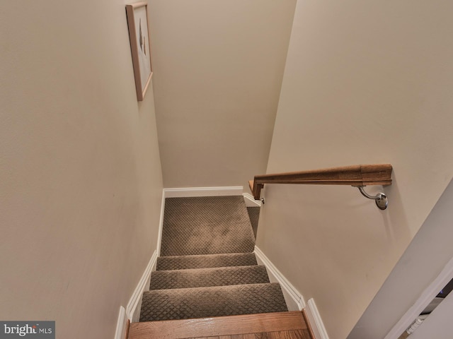 stairs featuring carpet flooring