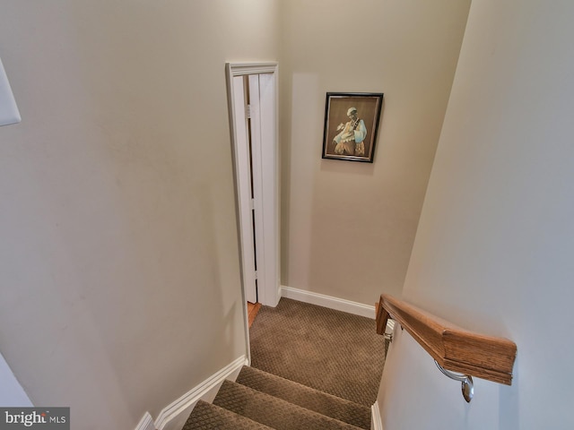 stairway featuring carpet flooring